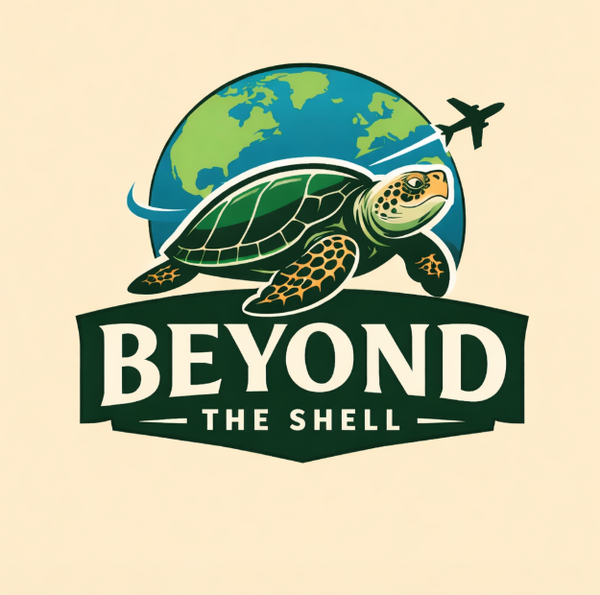 Beyond The Shell